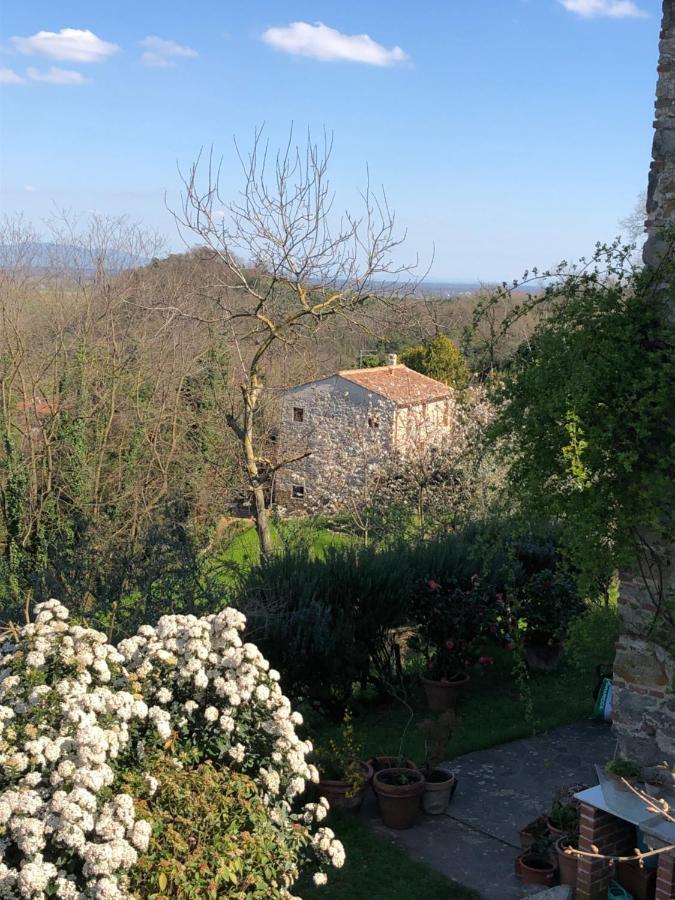 Dolce Vita In Tuscany Cottage Capannori Luaran gambar