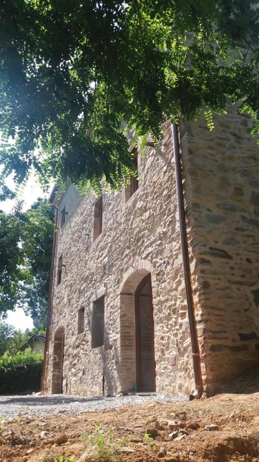 Dolce Vita In Tuscany Cottage Capannori Luaran gambar
