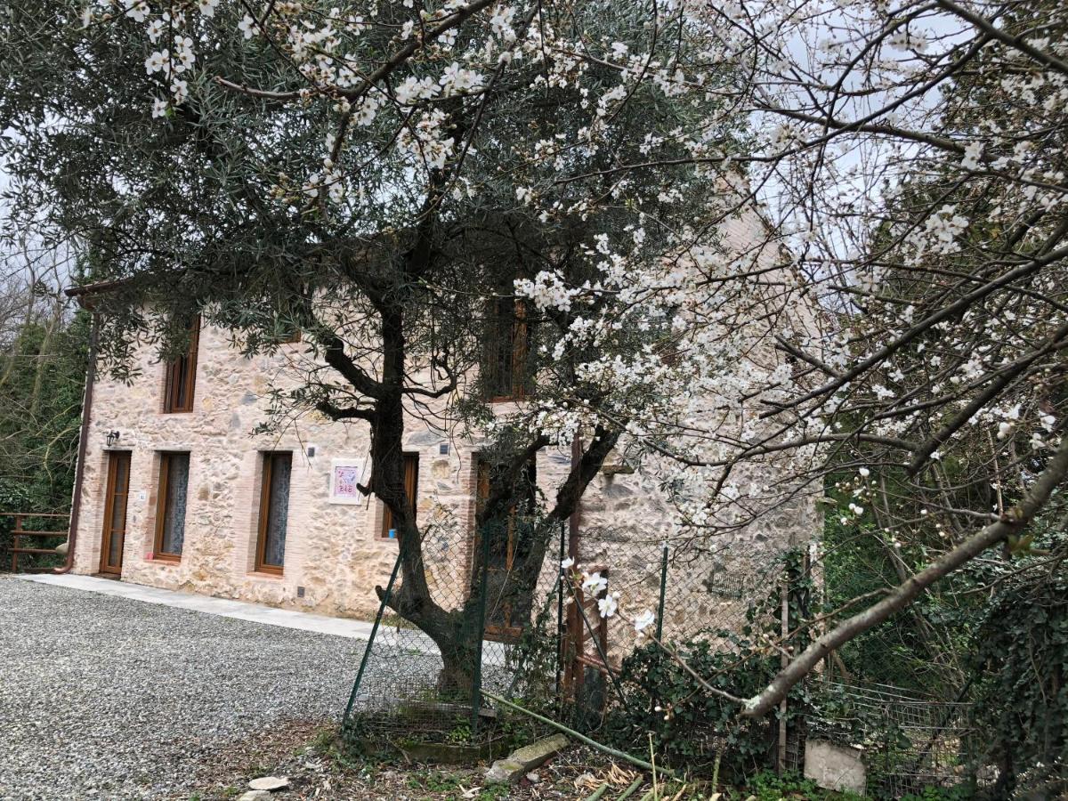 Dolce Vita In Tuscany Cottage Capannori Luaran gambar