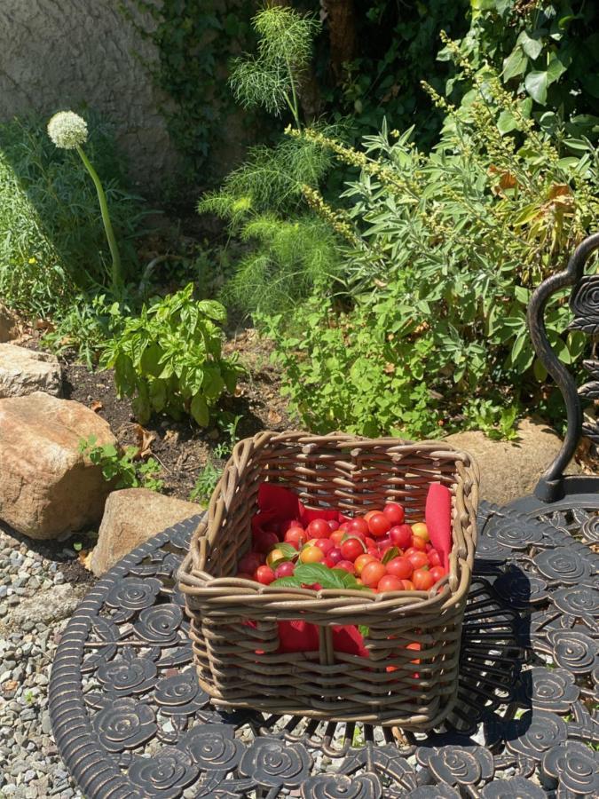 Dolce Vita In Tuscany Cottage Capannori Luaran gambar