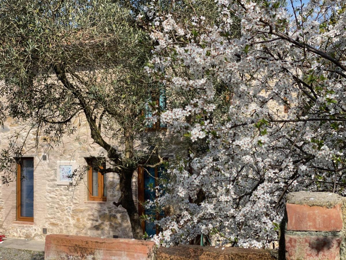 Dolce Vita In Tuscany Cottage Capannori Luaran gambar
