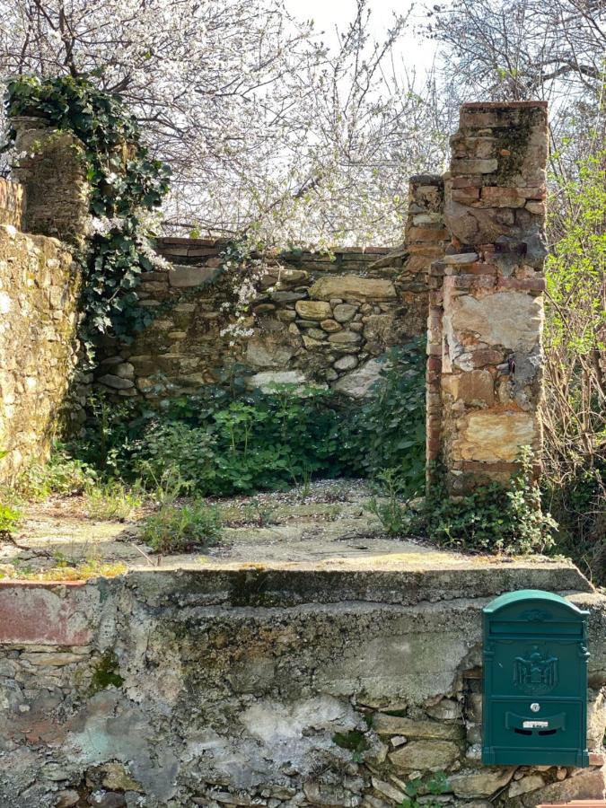 Dolce Vita In Tuscany Cottage Capannori Luaran gambar