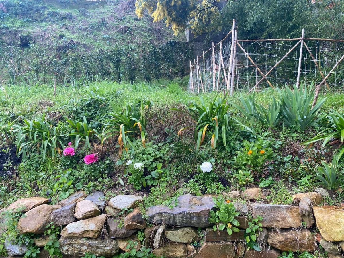 Dolce Vita In Tuscany Cottage Capannori Luaran gambar