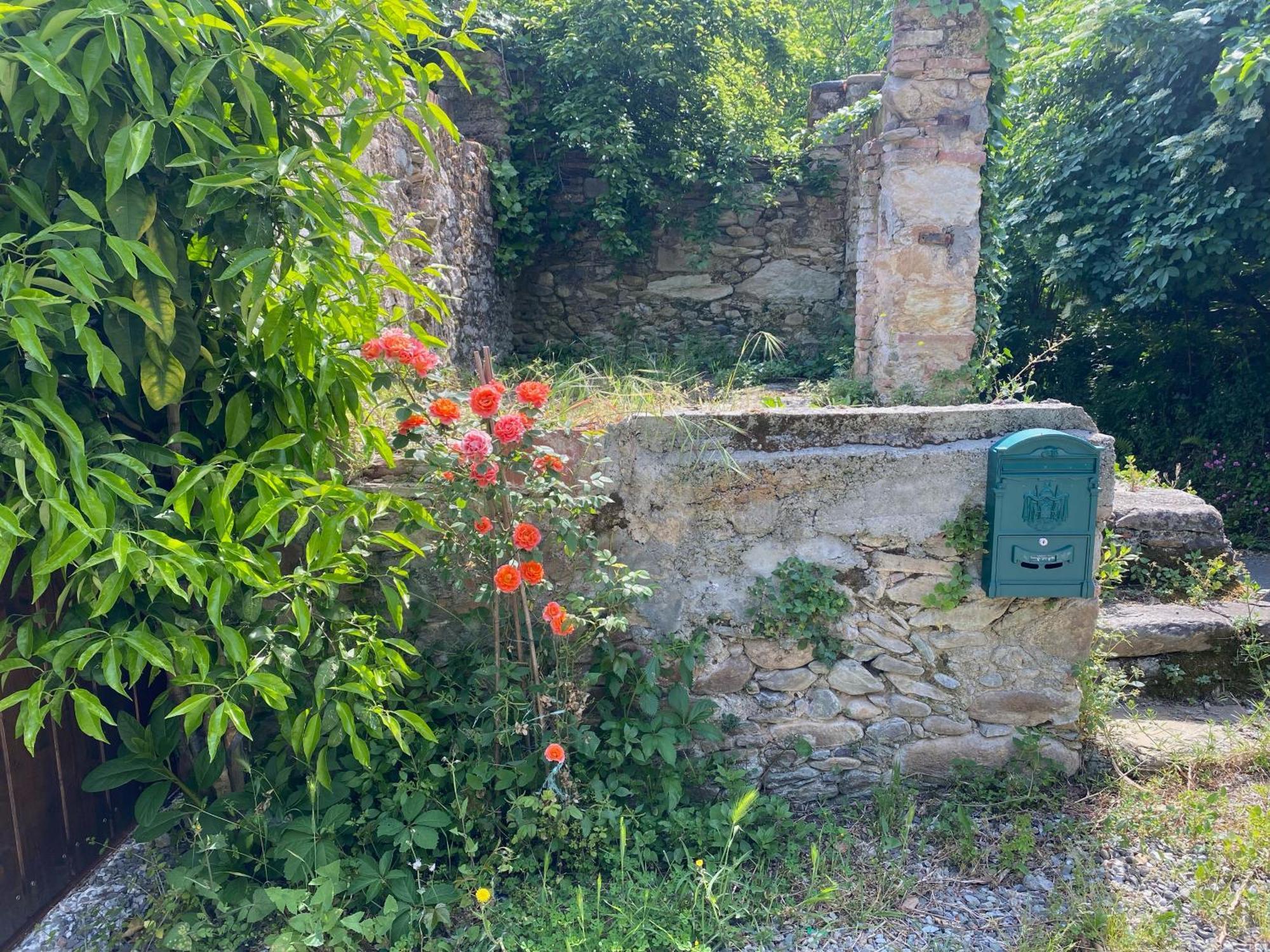 Dolce Vita In Tuscany Cottage Capannori Luaran gambar