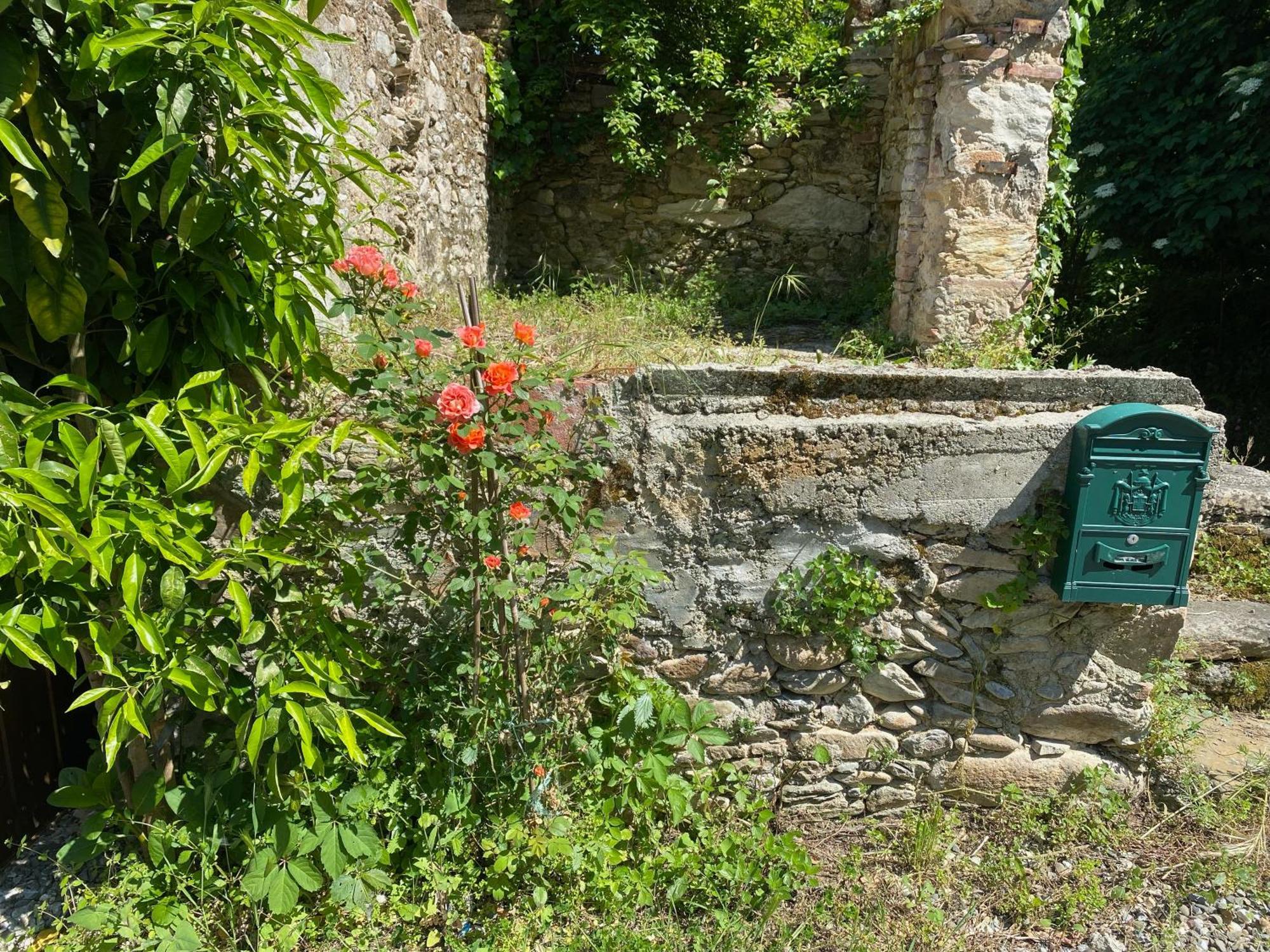 Dolce Vita In Tuscany Cottage Capannori Luaran gambar